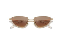 Gold/Brown Glass