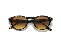 Tortoise/Verres Marron