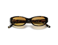 Tortoise/Verres Marron