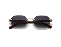 Gold Tortoiseshell/Grey Glass